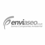 enviaseo